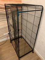 Frettenkooi, Dieren en Toebehoren, Overige Dieren, Maart, Mannelijk