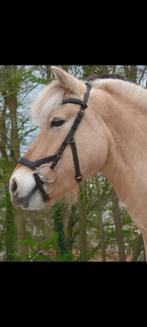 Rambo Miclem Hoofdstel FULL, Ophalen of Verzenden, Gebruikt, Recreatie