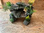 Te koop schildpad aquarium met decoratie eventueel, Dieren en Toebehoren, Vissen | Aquaria en Toebehoren, Ophalen, Leeg aquarium