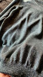 BELLEROSE Zilver Trui Maat 2 36/38, Ophalen of Verzenden, Zo goed als nieuw, Maat 36 (S), Grijs