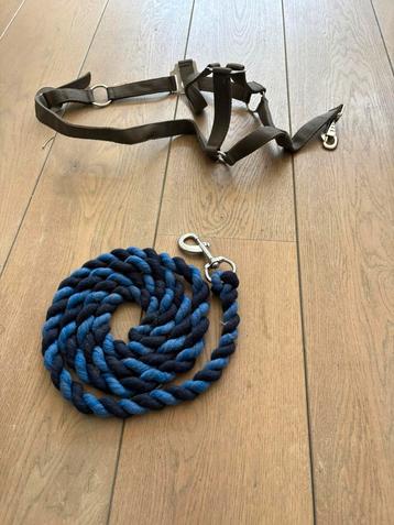 Harry's Horse Halsterset met Halstertouw beschikbaar voor biedingen