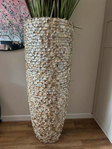 Zeer grote schelpen vaas 120 cm hoog beschikbaar voor biedingen