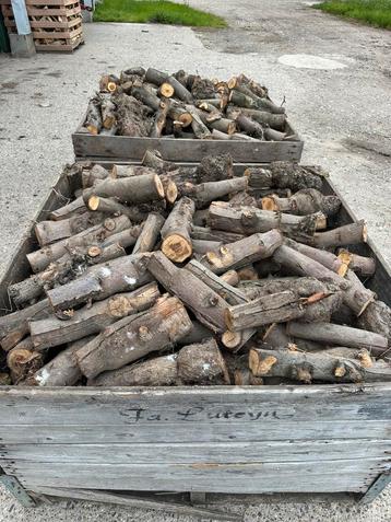 Appelhout, droog. beschikbaar voor biedingen