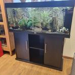 Juwel Aquarium, Dieren en Toebehoren, Vissen | Aquaria en Toebehoren, Ophalen, Gebruikt, Gevuld zoetwateraquarium