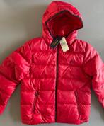 Polo Ralph Lauren donsjack voor tiener (14-16), Ophalen of Verzenden, Nieuw, Jongen of Meisje, Jas