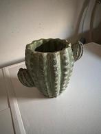 Leuke Cactus Vaas, Ophalen, Gebruikt, Binnen, Overige vormen