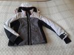 aparte winterjas / ski jas Falcon maat L (maat 42/44), Ophalen, Overige kleuren, Falcon, Maat 42/44 (L)