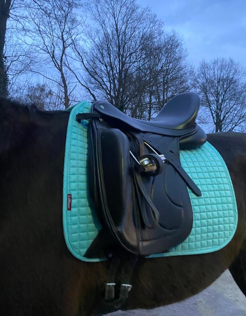 Lemieux azure suède full, Dieren en Toebehoren, Ophalen of Verzenden, Gebruikt