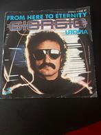 Giorgio Moroder - From Here To Eternity Vinyl Single, Ophalen of Verzenden, 1960 tot 1980, Gebruikt, Overige formaten