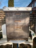 Bijenkasten Dadant, Bijen