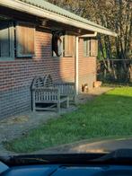 Pensionstal, Dieren en Toebehoren, Stalling en Weidegang, Weidegang, 1 paard of pony