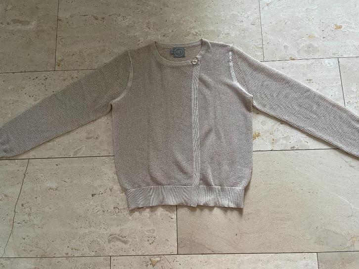 H E T! Amsterdam: z.g.a.n. luxe vestje maat S, Kleding | Dames, Truien en Vesten, Zo goed als nieuw, Maat 36 (S), Beige, Verzenden