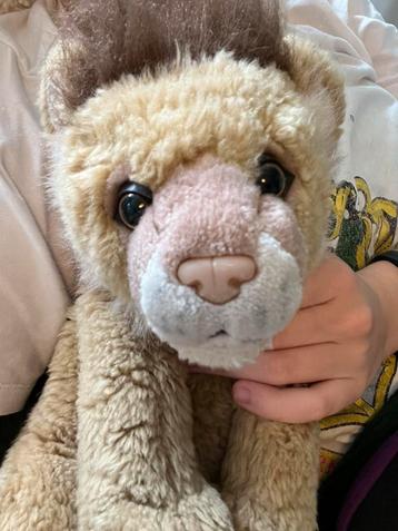 GEZOCHT geliefde knuffels beschikbaar voor biedingen