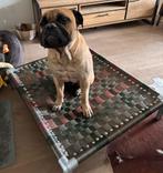 Hondenkussen ✅ hondenstretcher hondenmand bench kennel, Ophalen of Verzenden, Nieuw, 110 cm of meer, Minder dan 65 cm