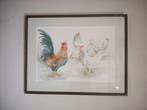 Aquarel kippen en haan kip gesigneerd "MR 1993", Ophalen of Verzenden, Zo goed als nieuw, 50 tot 75 cm, Schilderij