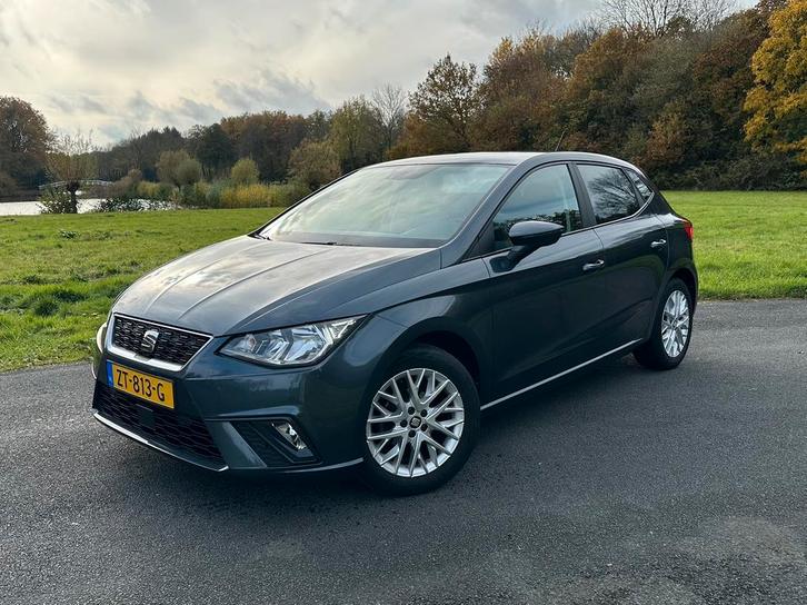 Seat Ibiza 1.0 TSI 95pk 2019 Grijs, Auto's, Seat, Particulier, Ibiza, ABS, Achteruitrijcamera, Airbags, Airconditioning, Alarm