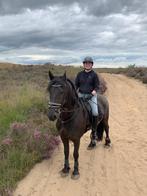 Bijrijdpaard gezocht, bijrijder aangeboden, Dieren en Toebehoren, Paarden en Pony's | Verzorgingsproducten, Ophalen, Zo goed als nieuw