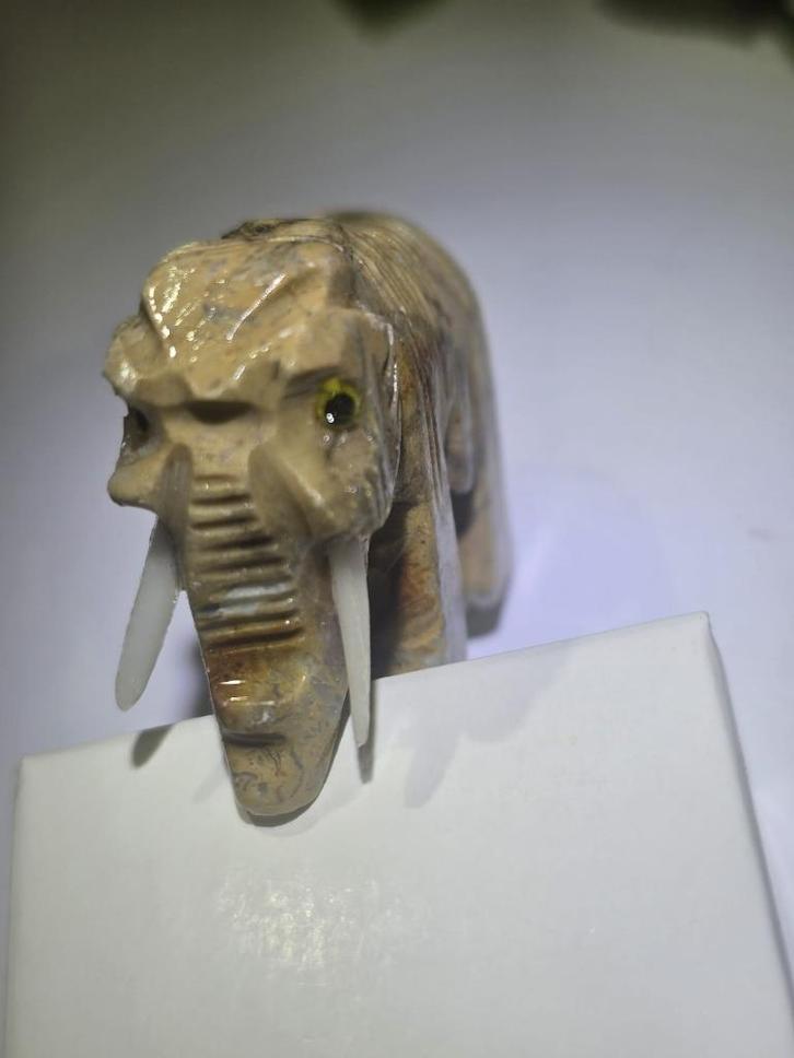 Olifant steen Dordogne (3x3.5 cm), Verzamelen, Mineralen en Fossielen, Mineraal, Ophalen of Verzenden