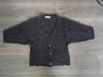 Nieuw donker grijs vest merk Billy B. maatloos, Kleding | Dames, Billy B., Verzenden, Nieuw, Grijs