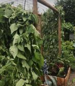 Hulp gezocht van iemand met ervaring aanpassing tuin, Ophalen