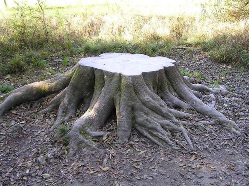 Boomstronk verwijderen / frezen / stobbe verwijderen, Diensten en Vakmensen, Tuinmannen en Stratenmakers