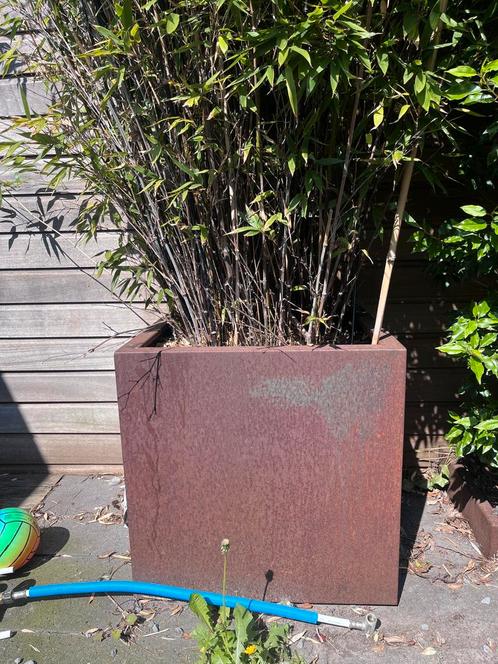 Twee mooie cortenstaal plantenbakken 70x70x70, Tuin en Terras, Bloembakken en Plantenbakken, Zo goed als nieuw, Metaal, Tuin, 60 cm of meer