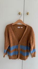 Zara. Vest voor jongen of meisje. Maat 104, Gebruikt, Jongen of Meisje, Trui of Vest, Ophalen of Verzenden