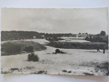 J1718 Sellingerbeetse beschikbaar voor biedingen