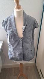 Vlot jeans gilet maat 46 van Dreamstar, Kleding | Dames, Grote Maten, Dreamstar, Ophalen of Verzenden, Zo goed als nieuw, Grijs