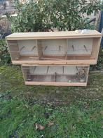 Vogel Broedkooien, Dieren en Toebehoren, Vogels | Kanaries