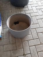plantenbakken, Ophalen, Kunststof, Gebruikt, Minder dan 30 cm