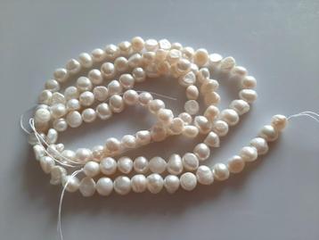 Zoetwaterparel kraal nugget wit circa 5.5-7.5x6.5-8.5 mm beschikbaar voor biedingen