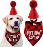 2-delige honden verjaardags set Birthday Boy rood
