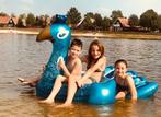 Hele grote opblaasvogel/ luchtbed blauw, Ophalen
