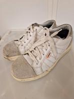 Veiligheids schoenen maat 39 werkschoenen, Kleding | Dames, Schoenen, Ophalen of Verzenden, Zo goed als nieuw, Zwart, Werkschoenen