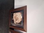 Schilderij im eiken lijst, Ophalen, Minder dan 50 cm, Nieuw, Minder dan 50 cm