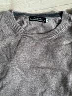trui van cashmere Made in Nepal XL, Ophalen of Verzenden, Nieuw, Maat 46/48 (XL) of groter, Grijs