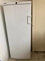Liebherr Diepvries - Werkt Goed!, Witgoed en Apparatuur, Vriezers en Diepvrieskisten, Vrieskast, Gebruikt, 160 cm of meer, Ophalen of Verzenden