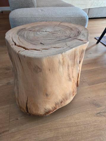 Boomstam Bijzettafel / Salontafel beschikbaar voor biedingen