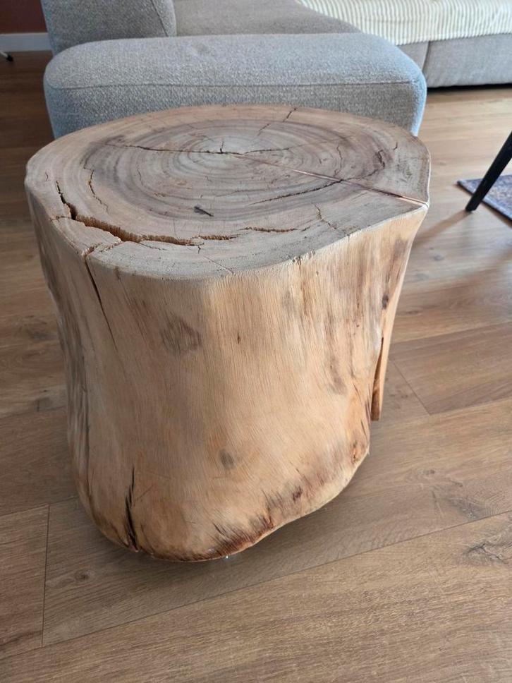 Boomstam Bijzettafel / Salontafel, Huis en Inrichting, Tafels | Salontafels, Minder dan 50 cm, 50 tot 100 cm, 50 tot 100 cm, Rond