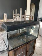 Juwel Aquarium met verlichting, Ophalen, Gebruikt, Leeg aquarium