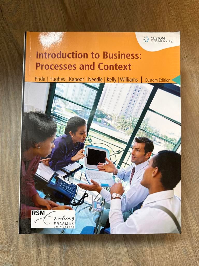 Introduction to Business: Processes and Context, Ophalen of Verzenden, Beta, Gelezen, WO