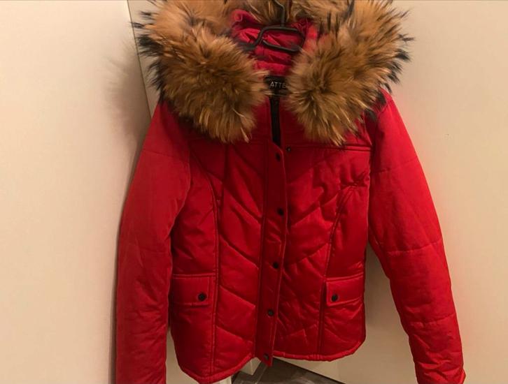 Attentif Dames Jas maat 38/40, Kleding | Dames, Jassen | Winter, Zo goed als nieuw, Maat 38/40 (M), Rood, Ophalen of Verzenden