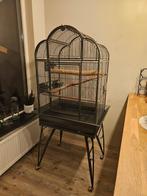Kooi en toebehoren voor een papegaai, Ophalen, Gebruikt, Metaal, Vogelkooi