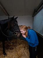 Verzorg Shetlander/kleine pony gezocht, Ophalen of Verzenden