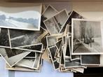 Enveloppe vol oude natuurfoto’s, Ophalen of Verzenden, Voor 1940, Zo goed als nieuw, Overige onderwerpen