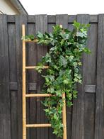 Klimop kunstplant nieuw, Ophalen of Verzenden, Nieuw