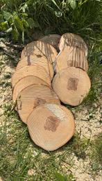 Vers gezaagde berkenboom schijven, Minder dan 3 m³, Ophalen, Stammen