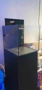 Aquarent/ zeeaquarium/ Aqua Medic Cubicus Qube, Dieren en Toebehoren, Ophalen of Verzenden, Zo goed als nieuw, Leeg aquarium