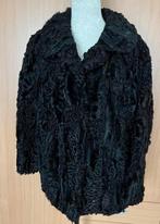 Zwarte bontjas maat 44 [DM], Kleding | Dames, Jassen | Winter, Ophalen of Verzenden, Zo goed als nieuw, Maat 42/44 (L), Zwart